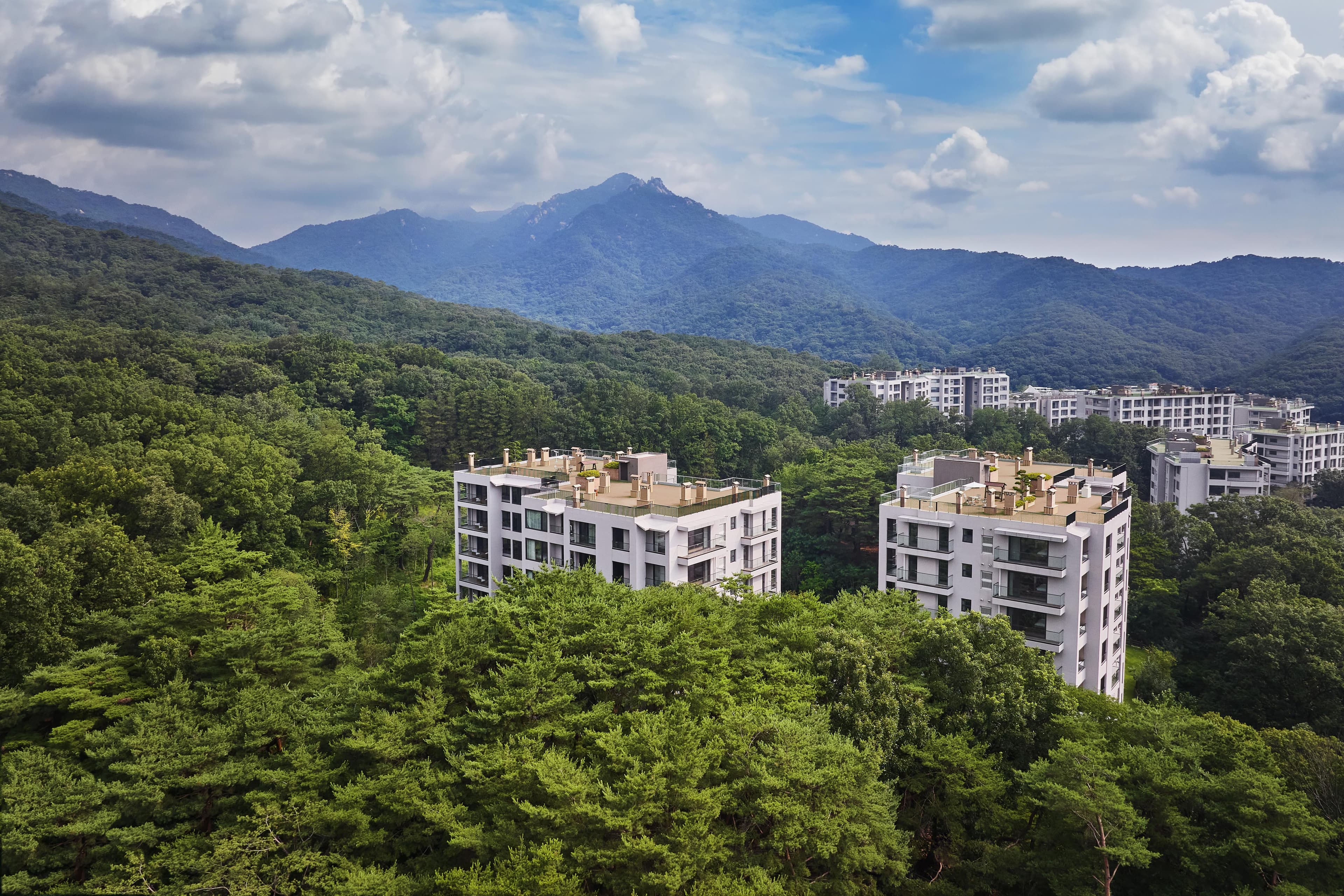 Paraspara Seoul 파라스파라 서울