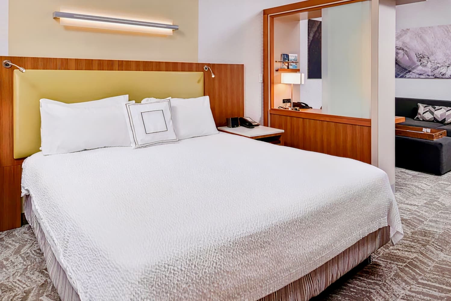 SpringHill Suites by Marriott Irvine John Wayne Airport/Orange County