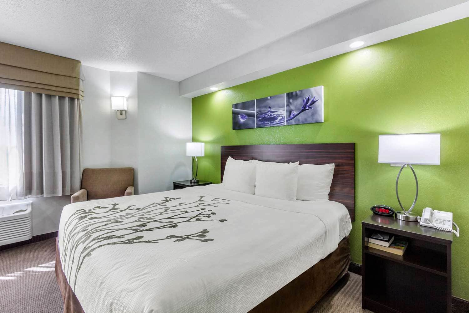 Sleep Inn near Busch Gardens - USF