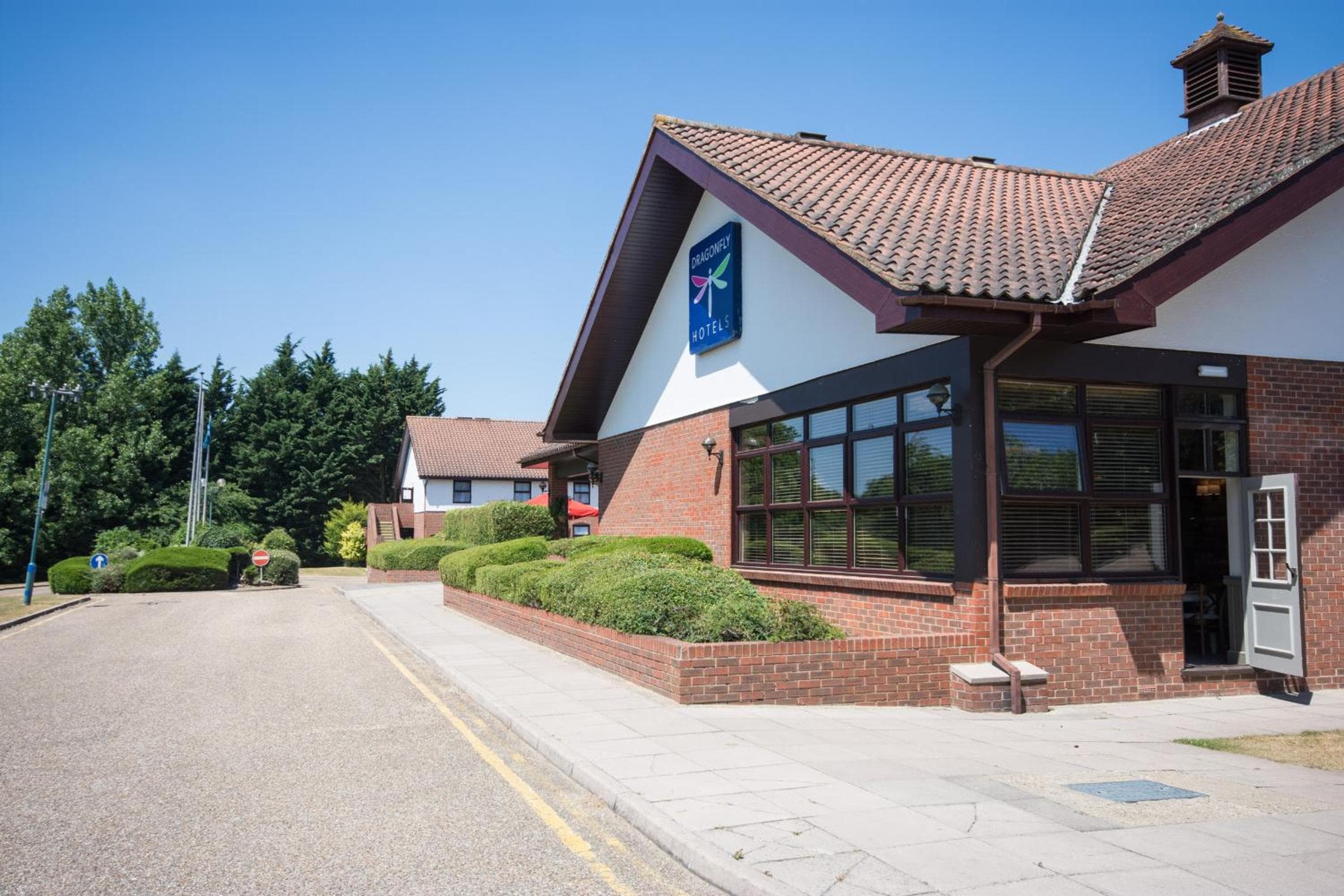 Dragonfly Bury St Edmunds